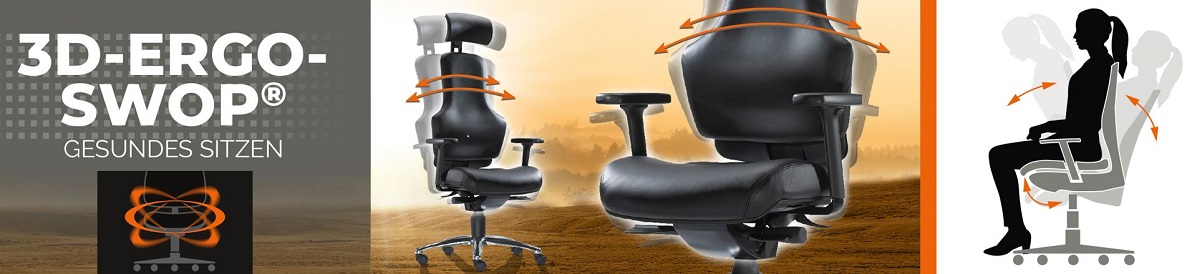 Steifensand.org ➜ 3D-ErgoSWOP ➜ Bewegtes Sitzen